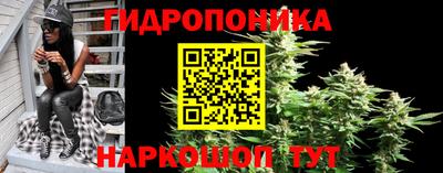 дживик Берёзовский