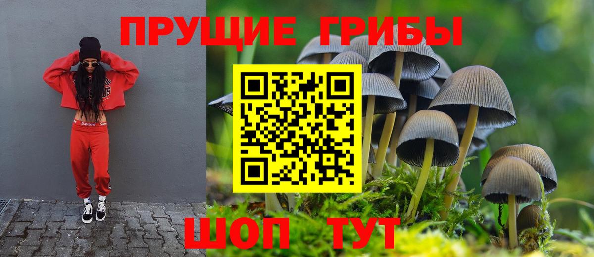 Джанкой  Галлюциногенные грибы Psilocybe  Галлюциногенные грибы прущие грибы  Вход с VPN 