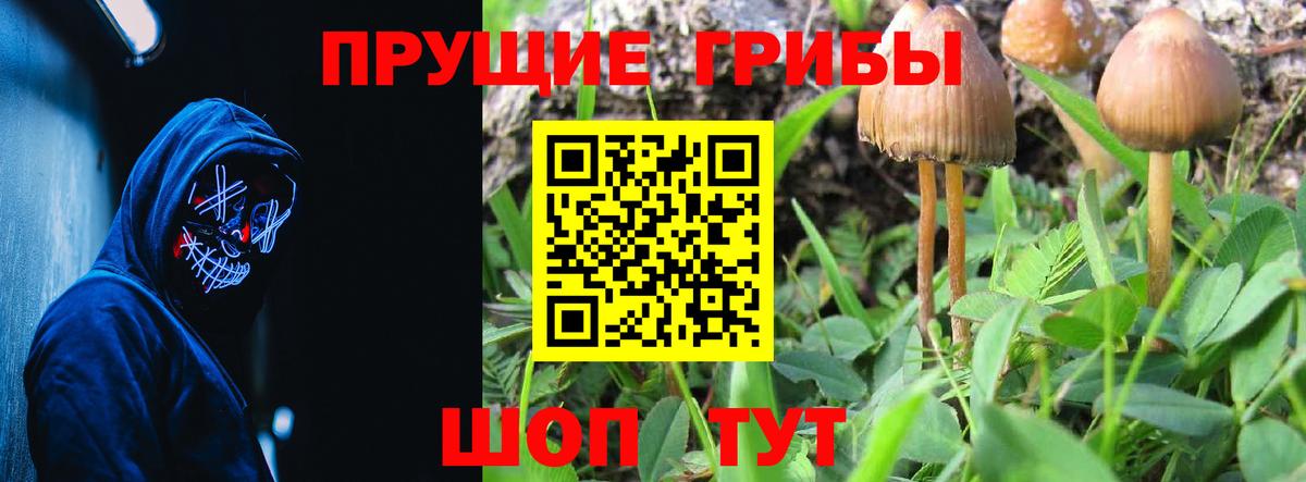 Галлюциногенные грибы ЛСД Джанкой